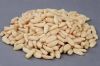 Raw processing type wholesale red pine nut kernels in bluk