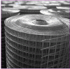 Sell iron wire mesh