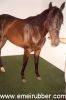 equine rubber flooring