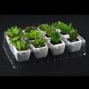 Sell artificial mini succulents