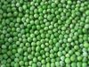 Sell frozen green pea