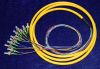 Sell Fiber Pigtail