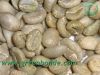 Export Coffee Beans | Arabica Coffee Beans Suppliers | Robusta Coffee Beans Exporters | Coffee Bean Traders | Wholesale Coffee Beans | Buy Coffee Beans | Bulk Coffee Bean | Green Coffee Bean Buyer | Low Price Roasted Coffee Bean | Import Coffee Bean | Cof