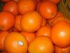 Sell fresh navel orange