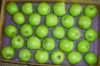 Sell  fresh green apple