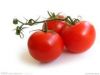 Sell Tomato Extract