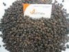 Vietnam black pepper (Skype: visimex08)