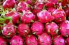 Sell fresh dragon fruit