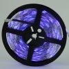 Waterproof Flexible LED Strip (GF3528-30-RGB)