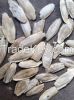 Sell cuttlebone  .myskype: smithnguyen1