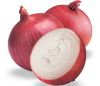 Fresh Red Onion for Export