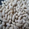 Good White Kidney Beans with excellent quality