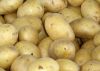 2017 New Crop Fresh Potatoes
