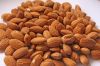 High Quality Organic Raw Almonds Nuts and Kernel Competitive Price