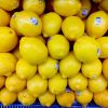 FRESH LEMON BEST PRICE