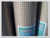 Sell galvanized welded wire mesh