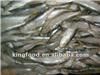 Wholesale frozen sardines