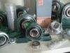 Sell pillow block ball bearings