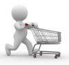 Development-India Offers Shopping Cart Software Developer Services