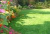 Sell artificial grass