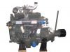 Sell R4105ZP diesel engine with clutch 70kw 95ph 2000rpm