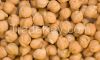 TOP QUALITY CHICK PEA IN STOCK CROP 2015