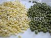 Quality Green Mung Beans for sale