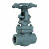 Forged Steel Gate Valves