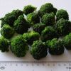 Sell frozen broccoli