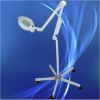 magifier lamp