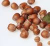 Hazelnuts in Shell