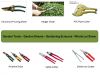 Sell Garden Tools - Garden Shears- Garden Scissors - Hedge Shears