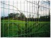 Sell Euro Fence/pvc welded  Euro Fence