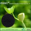 Sell 100% natural bamboo charcoal ash organic fertilizer for crops