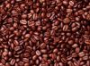 Sell Arabica Coffee Beans