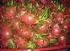 Sell Fresh Dragon Fruit