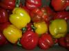 Sell Fresh Capsicum