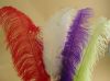 Sell Ostrich feathers