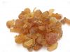 Gum Arabic