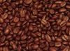 Export Coffee Beans | Arabica Coffee Beans Suppliers | Robusta Coffee Beans Exporters | Coffee Bean Traders | Wholesale Coffee Beans | Buy Coffee Beans | Bulk Coffee Bean | Green Coffee Bean Buyer | Low Price Roasted Coffee Bean | Import Coffee Bean | Cof