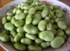 BROAD BEANS