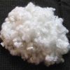 Sell Hollow Conjugated  Polyester staple Fibers 8D
