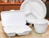 kids lunch box, large paper box, large paper plates
