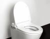 Sanitary ware manufacturer PP simple soft close bidet toilet seat
