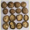 Sell dried shiitake mushroom (PO-KU mushroom)