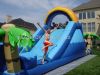 Sell inflatable wet slides