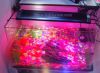 Sell  led aquarium lights