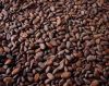 Cocoa Beans