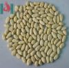 Sell blanched peanut kernel