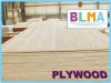 Sell WBP/MEL/MR glue plywood for furniture
